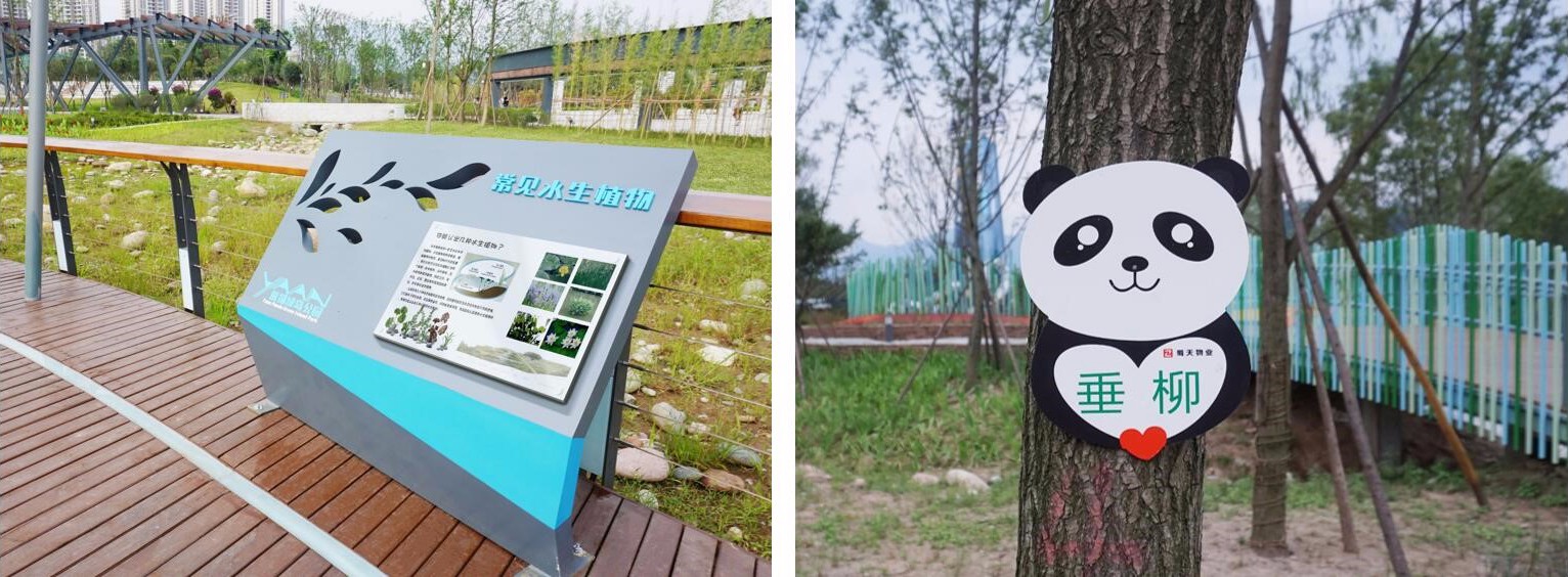 四川雅安市熊猫绿岛公园景观设计/清华同衡