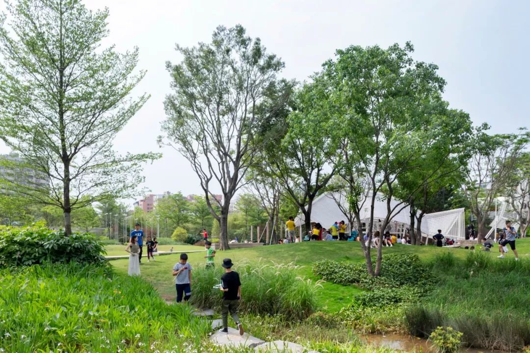 广州大鱼公园景观设计/张唐景观