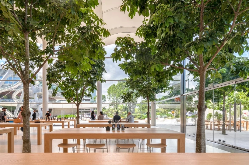 迈阿密苹果旗舰店建筑设计/Foster + Partners
