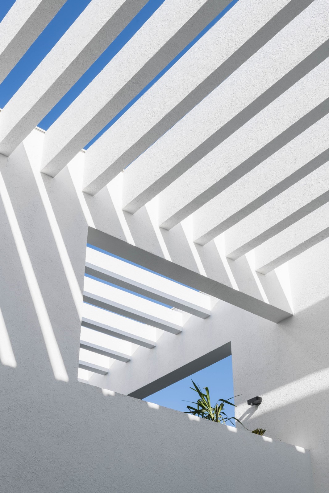 墨西哥Ombra独立住宅建筑设计 / Cadaval & Solà-Morales