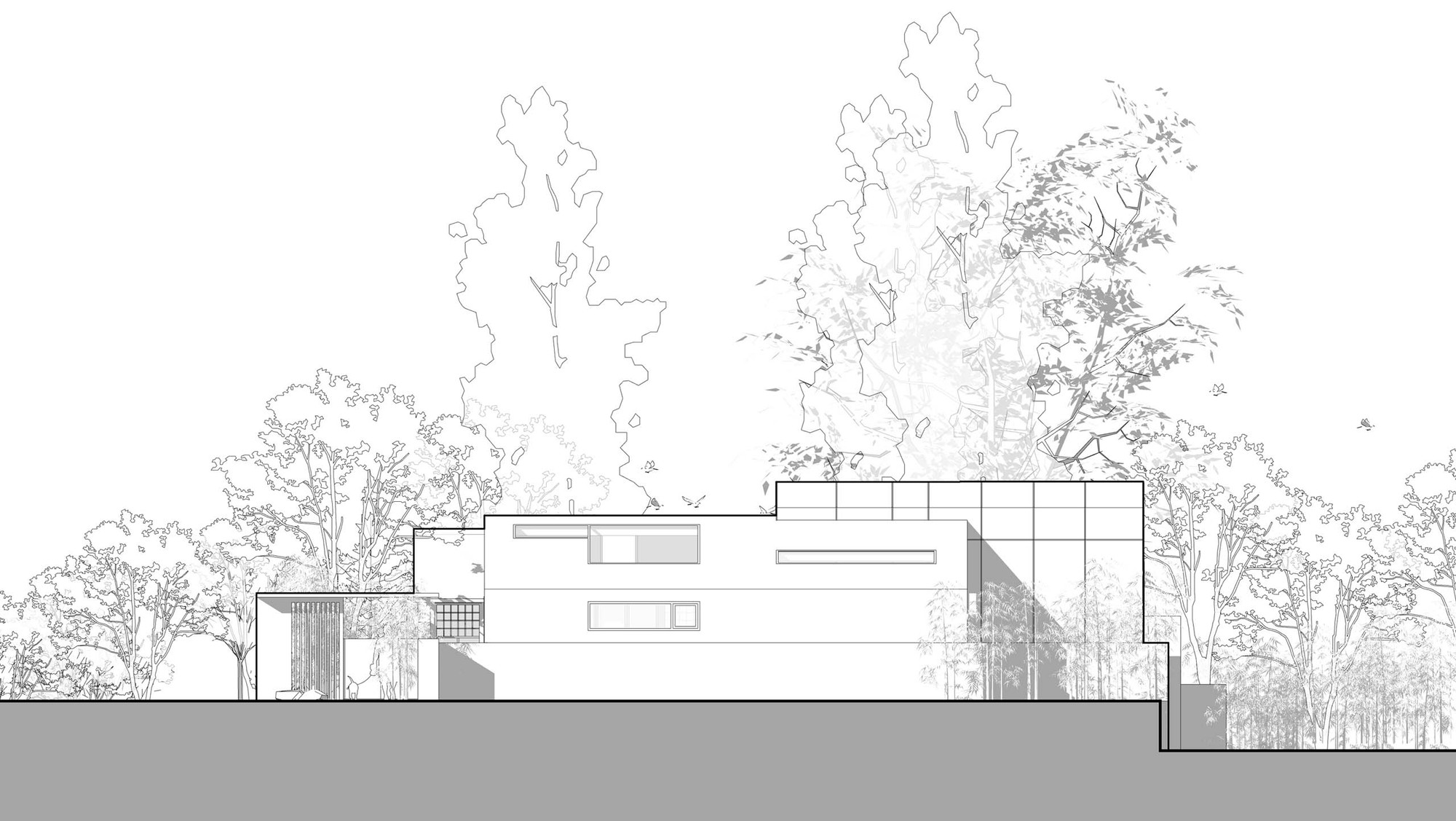 北京张家庄村树下院建筑设计 / 空间进化