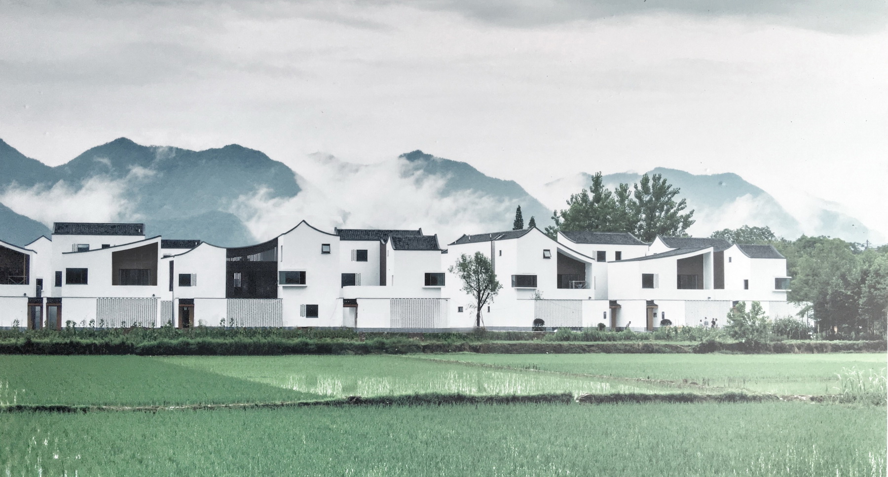 威尼斯双年展主题展参展建筑师孟凡浩：建筑如何引领“共生”。