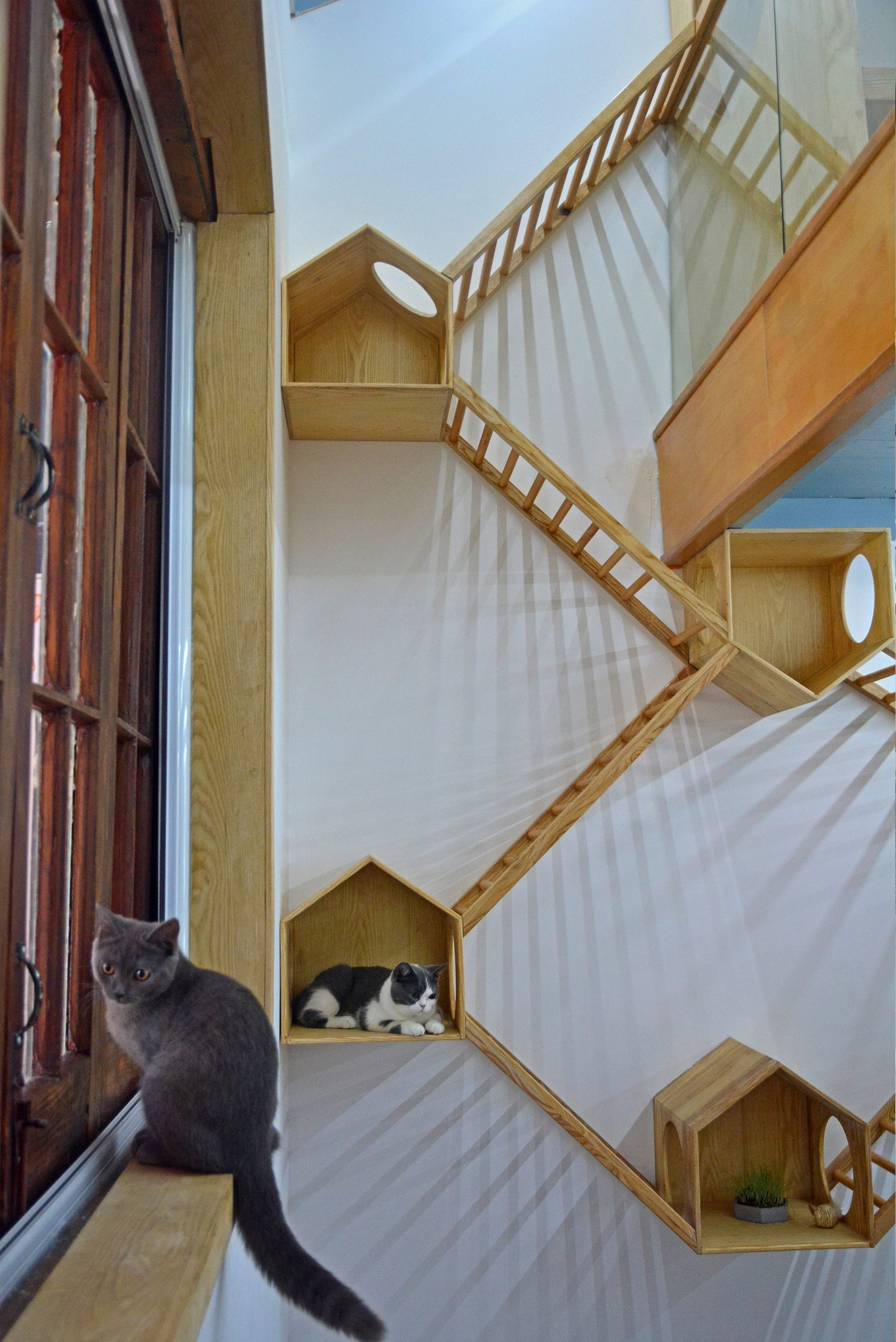 田子坊里的撸猫体验馆：猫之一隅 室内改造设计 / 平介设计