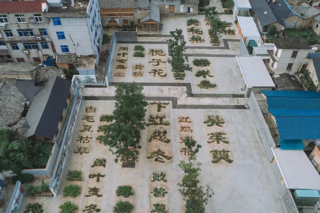 浙江丽水市本草园 景观设计 / DNA建筑事务所