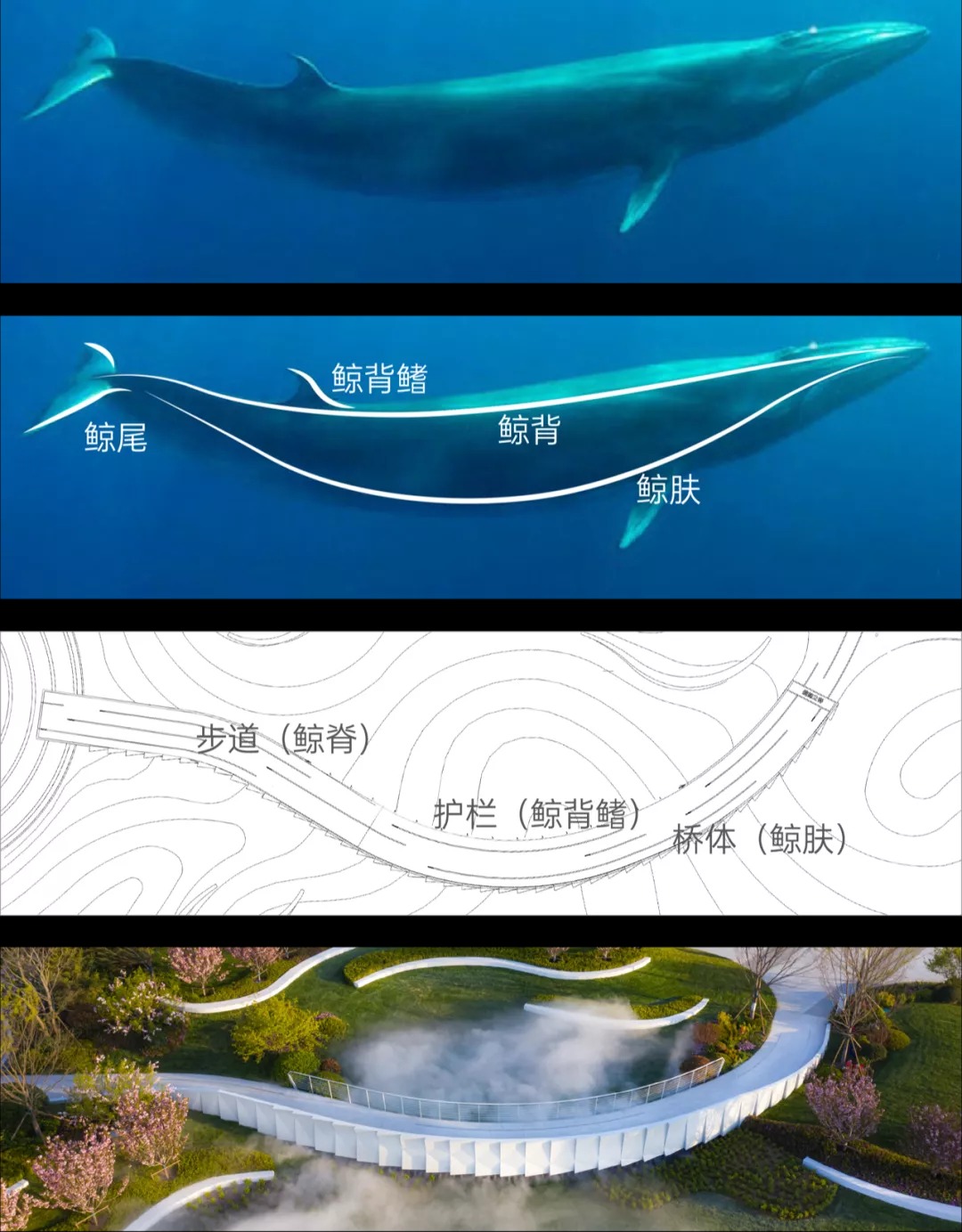 金茂青岛创新科技城示范区  景观设计 /  奥雅设计