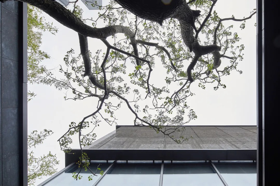 温州 永宁书院 建筑设计 / AAI国际建筑师事务所·里未