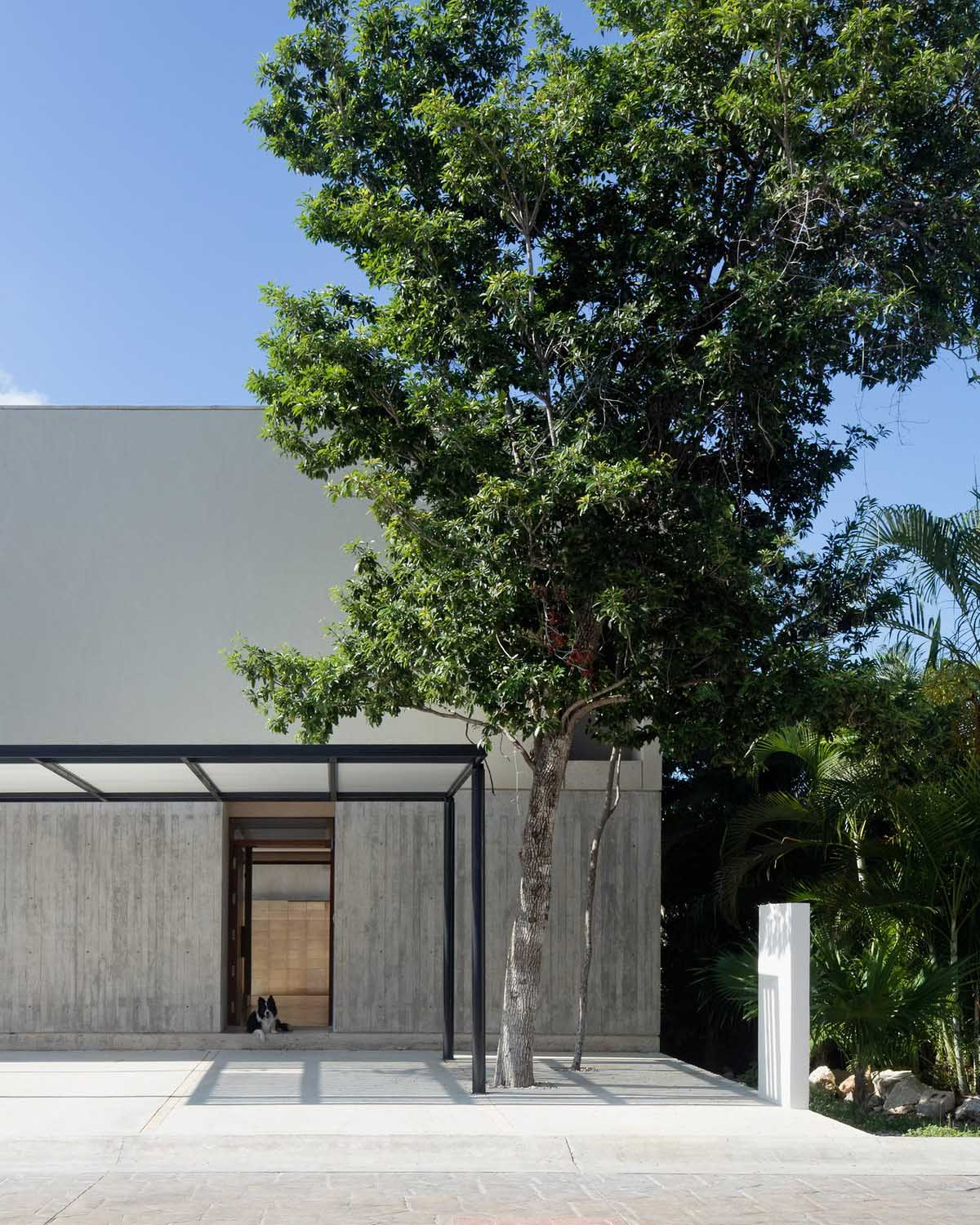 墨西哥Risch住宅 建筑设计 /  Kiltro Polaris Arquitectura