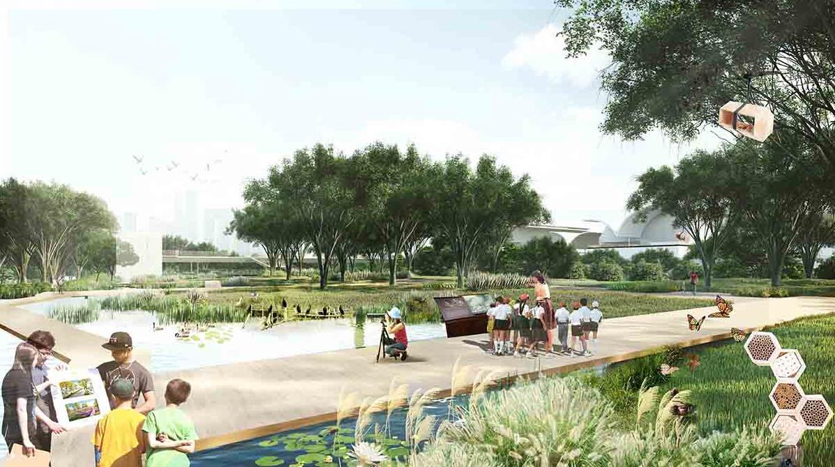 深圳红树林湿地博物馆项目  国际竞赛 建筑设计  / 迹·建筑事务所（TAO）+AECOM