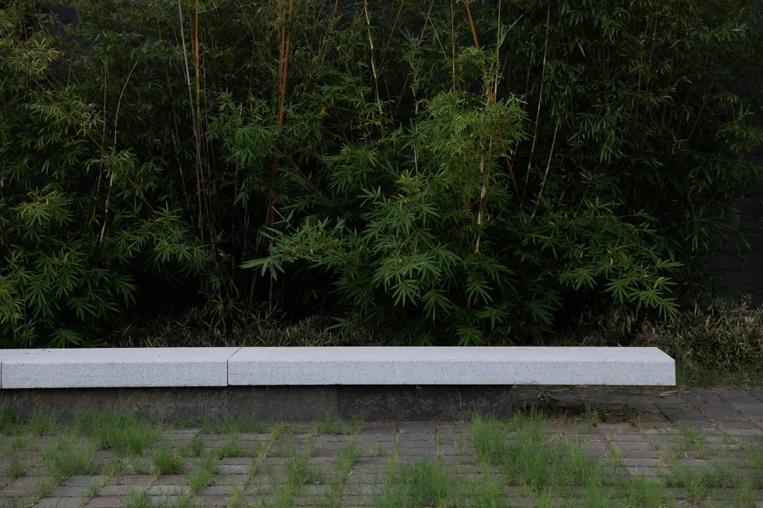 泰康·杭州径山竹茶园纪念园 景观设计 /  澜道设计