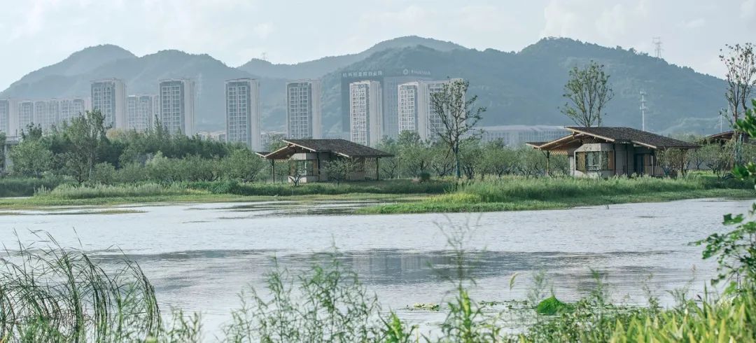 富阳·阳陂湖湿地生态民宿酒店  建筑设计 /  尌林建筑设计事务所