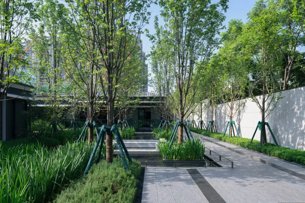 昆明绿城 鳯起蘭庭 景观设计 / 朗道国际